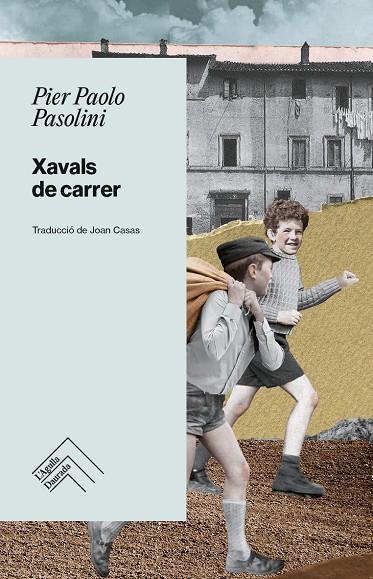 XAVALS DE CARRER  | 9788419515254 | PASOLINI, PIER PAOLO