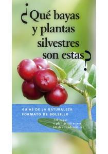 QUE BAYAS Y PLANTAS SILVESTRES SON ESTAS | 9788428217309 | DREYER, EVA MARIA