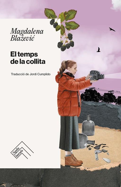 TEMPS DE LA COLLITA, EL | 9788419515223 | BLAZEVIC, MAGDALENA