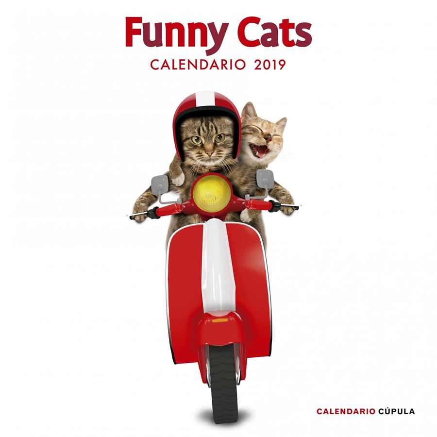 2019-CALENDARIO FUNNY CATS  | 9788448024628 | AA. VV.