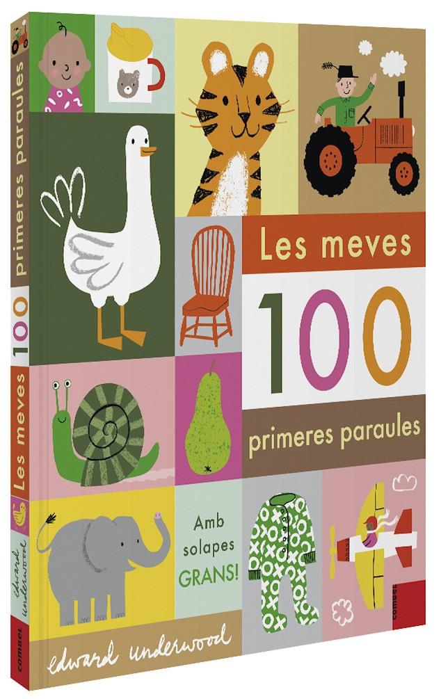 MEVES 100 PRIMERES PARAULES, LES | 9788491015932