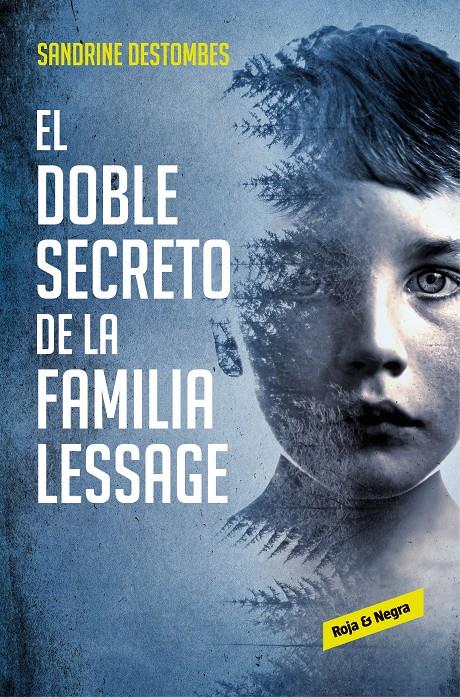 DOBLE SECRETO DE LA FAMILIA LESSAGE, EL | 9788417511494 | DESTOMBES, SANDRINE