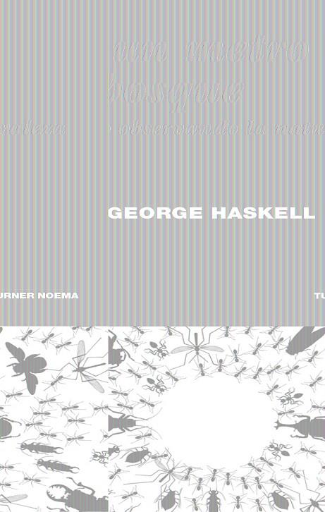 EN UN METRO DE BOSQUE | 9788415832232 | HASKELL, DAVID GEORGE