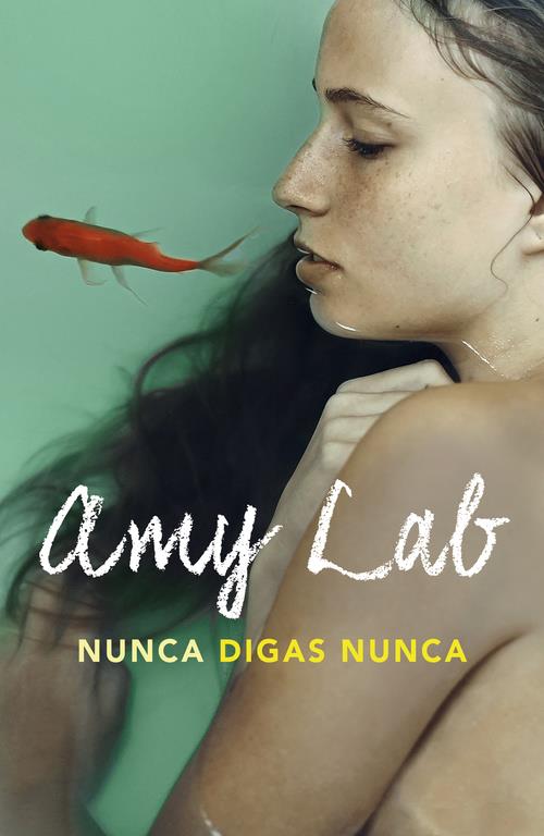 NUNCA DIGAS NUNCA | 9788420484075 | LAB, AMY