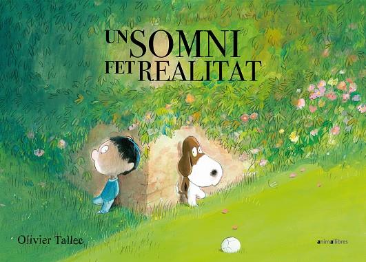 UN SOMNI FET REALITAT | 9788417599324 | TALLEC, OLIVIER