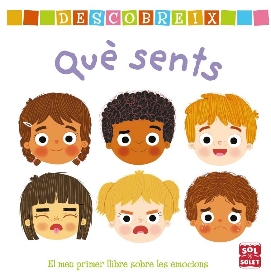 DESCOBREIX QUÈ SENTS | 9788499063003 | VARIOS AUTORES