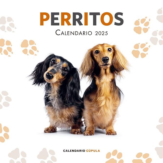 2025 CALENDARIO PERRITOS  | 9788448041649 | AA. VV.