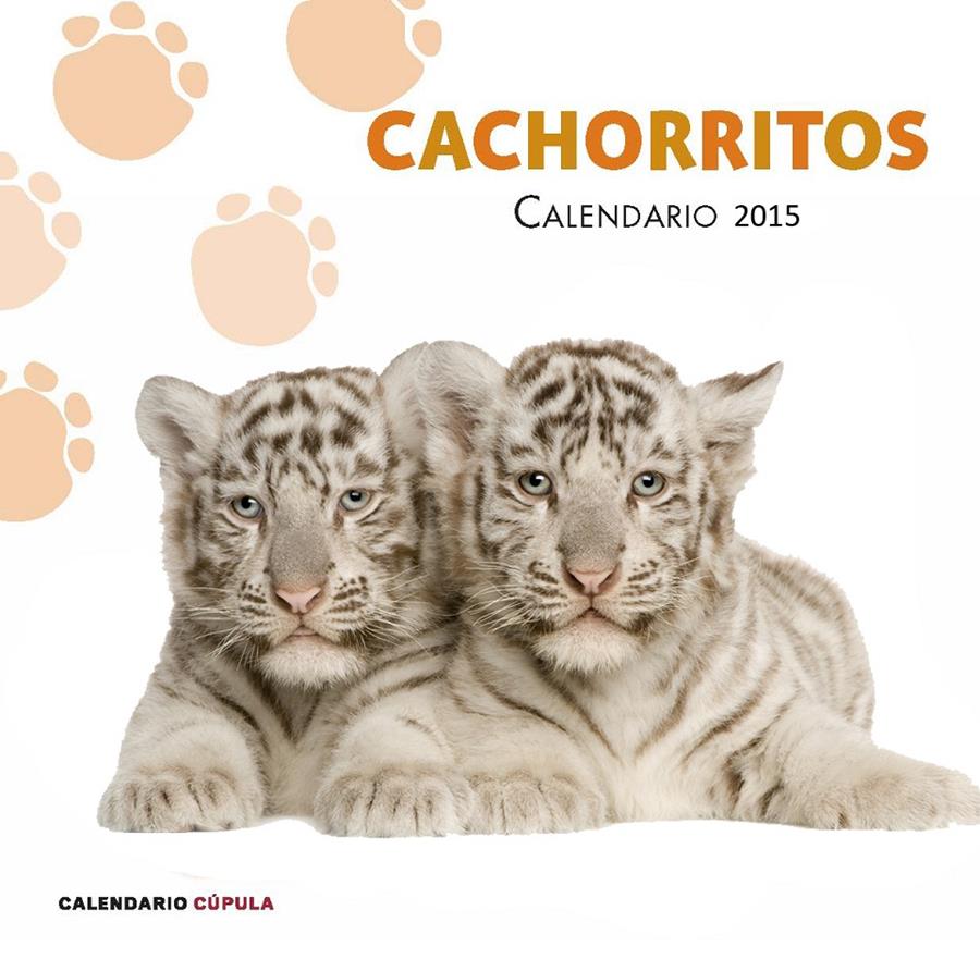 2015-CALENDARIO CACHORRITOS 2015 | 9788448019884 | AA. VV.