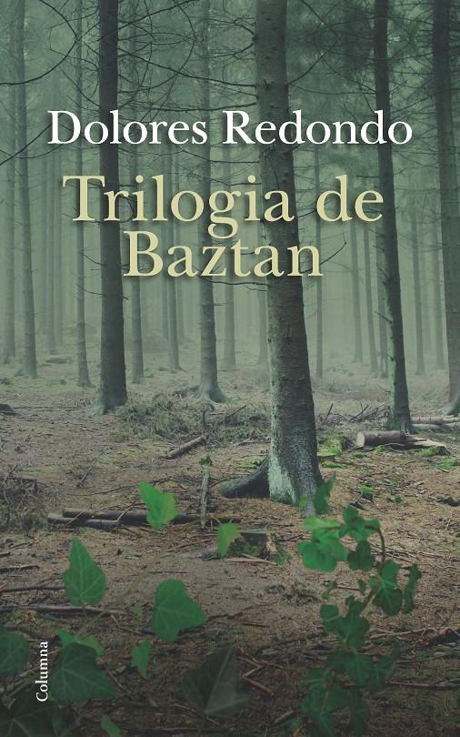 ESTOIG TRILOGIA DE BAZTAN | 9788466419147 | REDONDO, DOLORES