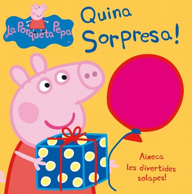 QUINA SORPRESA! | 9788448832391 | VARIOS AUTORES