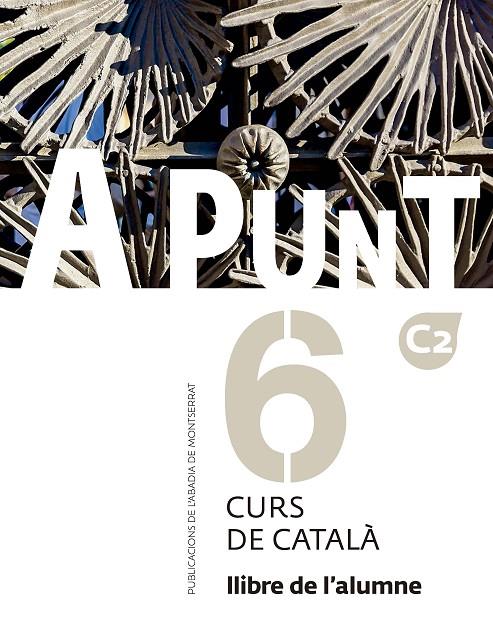 A PUNT CURS DE CATALÀ 6. LLIBRE DE L'ALUMNE | 9788491912804 | VILAGRASA GRANDIA, ALBERT