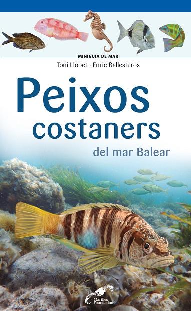 PEIXOS COSTANERS DEL MAR BALEAR | 9788490349403 | LLOBET FRANÇOIS , TONI/BALLESTEROS SAGARRA , ENRIC