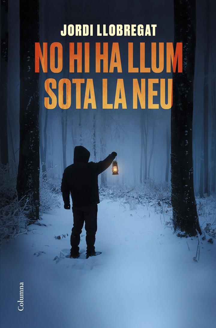 NO HI HA LLUM SOTA LA NEU | 9788466425582 | LLOBREGAT, JORDI