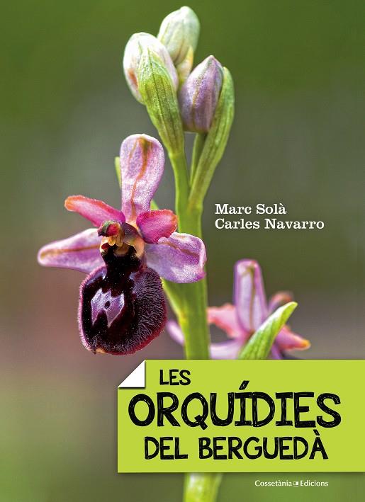 ORQUÍDIES DEL BERGUEDÀ, LES | 9788490343289 | SOLÀ, MARC/NAVARRO, CARLES