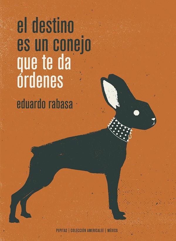 DESTINO ES UN CONEJO QUE TE DA ÓRDENES, EL | 9788417386498 | RABASA, EDUARDO