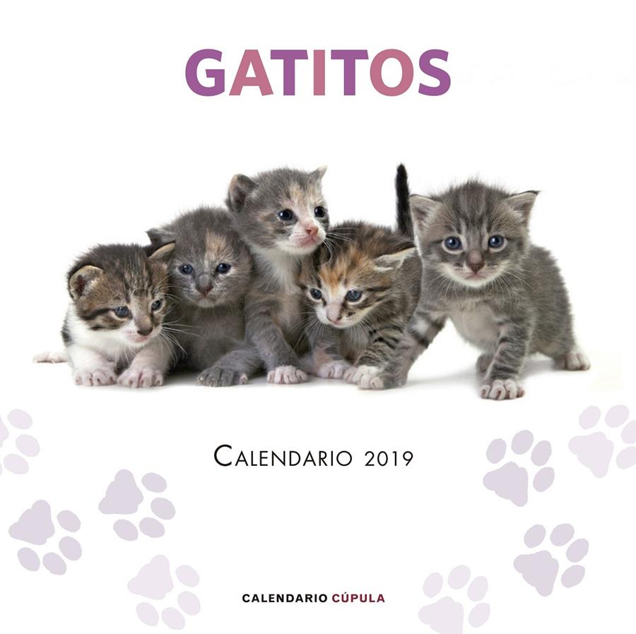 2019-CALENDARIO GATITOS  | 9788448024659 | AA. VV.