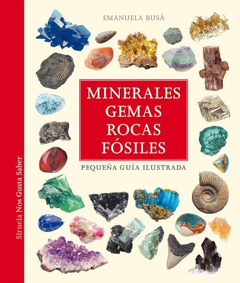 MINERALES, GEMAS, ROCAS Y FÓSILES | 9788419419866 | BUSÀ, EMANUELA