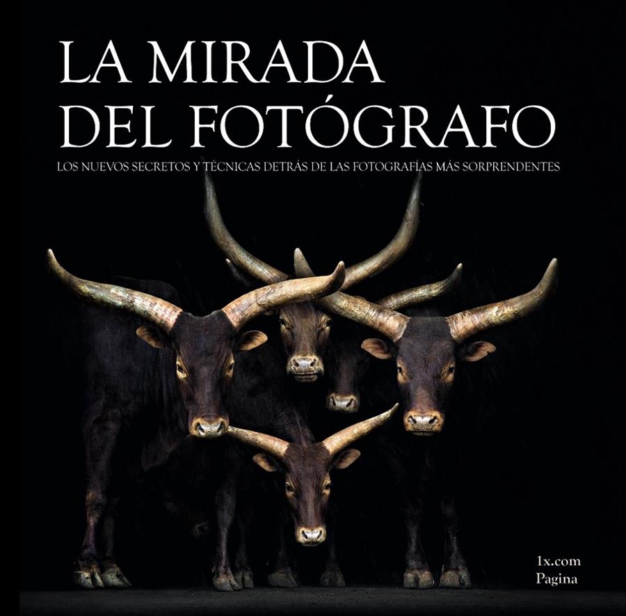 MIRADA DEL FOTÓGRAFO, LA | 9788441534254 | 1X.COM