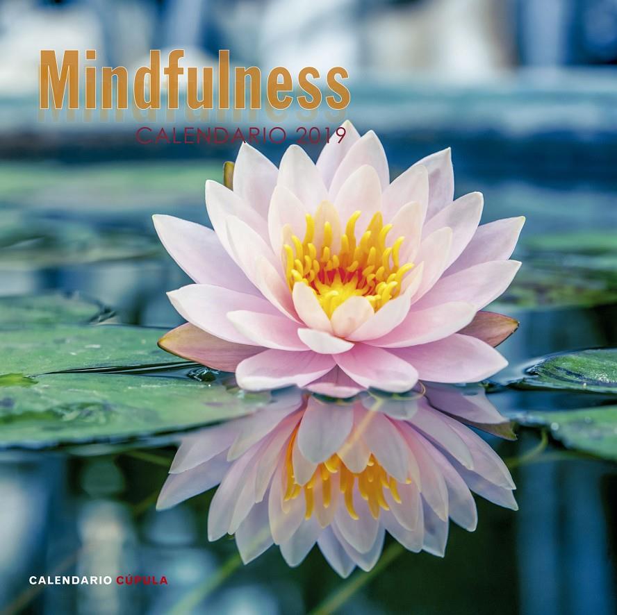 2019-CALENDARIO MINDFULNESS  | 9788448024598 | AA. VV.