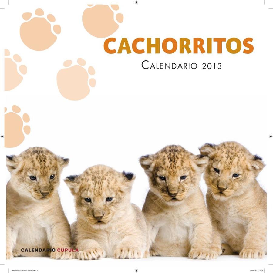 2013-CALENDARIO CACHORRITOS | 9788448006655 | AA. VV.