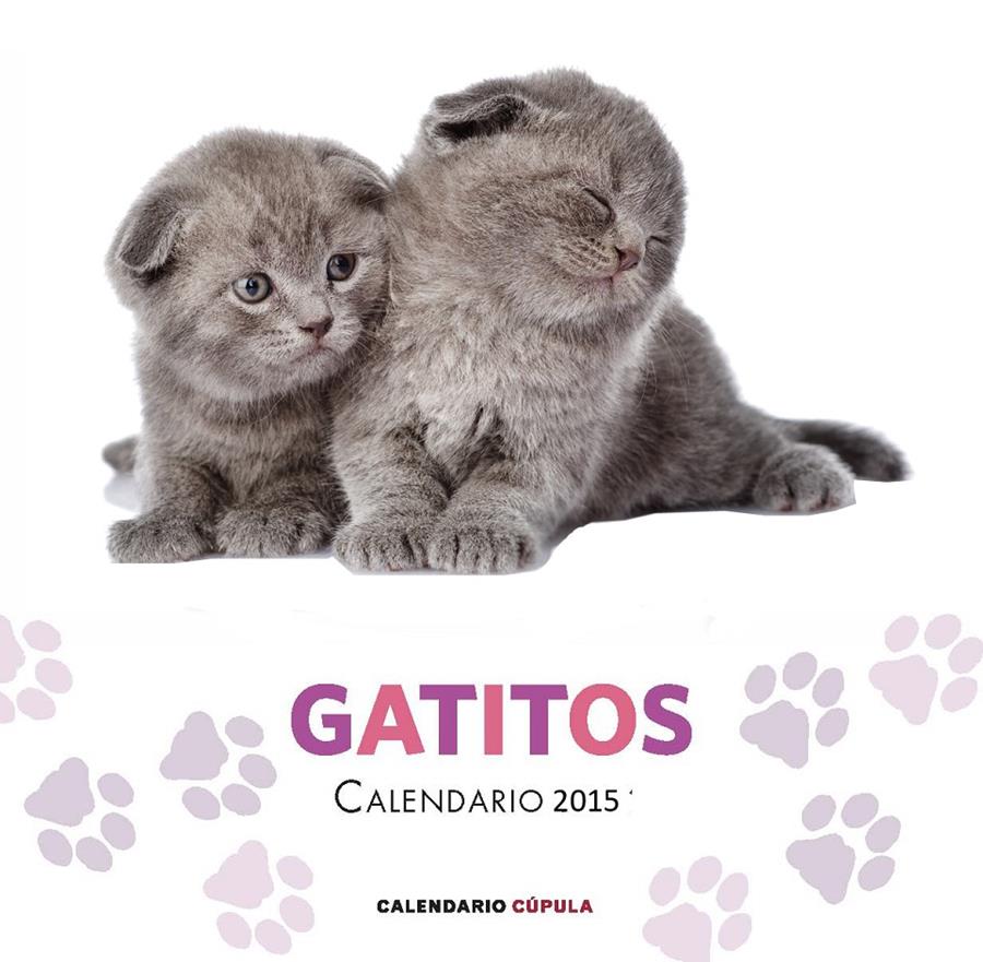 2015-CALENDARIO GATITOS | 9788448019730 | AA. VV.