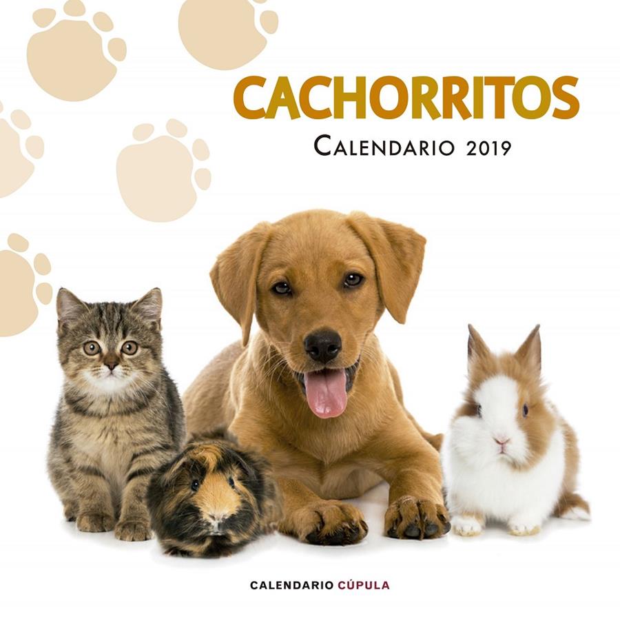 2019-CALENDARIO CACHORRITOS | 9788448024673 | AA. VV.