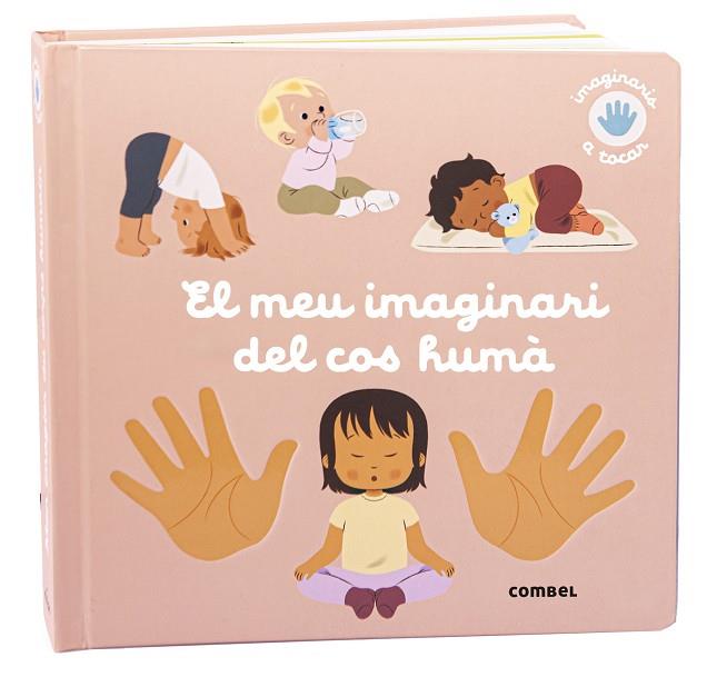 MEU IMAGINARI DEL COS HUMÀ, EL | 9788411581974 | RAGONDET, NATHAIE