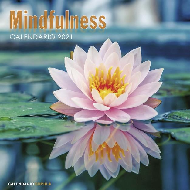 CALENDARIO MINDFULNESS 2021 | 9788448027735 | AA. VV.