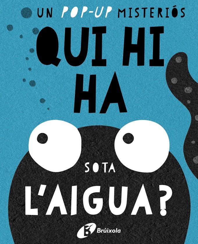 QUI HI HA SOTA L 'AIGUA? (POP-UP) | 9788499067667