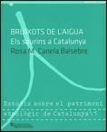 BRUIXOTS DE L'AIGUA. ELS SAURINS A CATALUNYA | 9788439385066 | CANELA BALSEBRE, ROSA M.