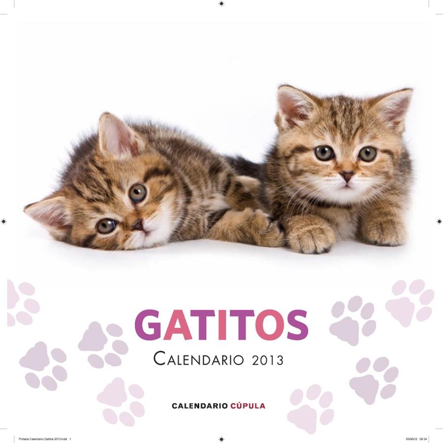 2013-CALENDARIO GATITOS | 9788448006648 | AA. VV.