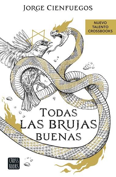 TODAS LAS BRUJAS BUENAS | 9788408260066 | CIENFUEGOS, JORGE