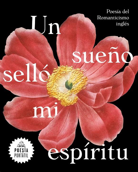 UN SUEÑO SELLÓ MI ESPÍRITU | 9788439735328 | VARIOS AUTORES,