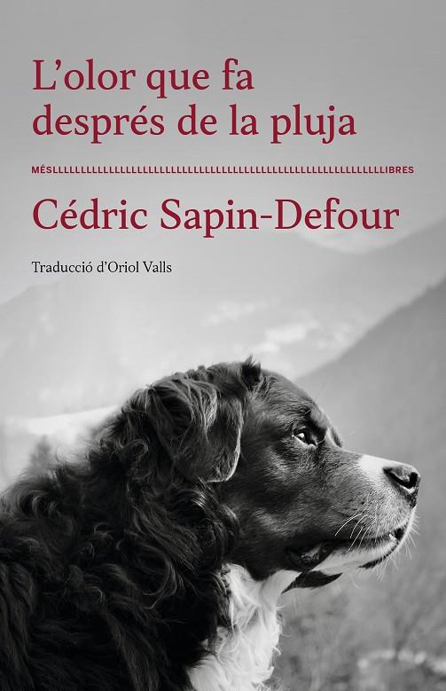 OLOR QUE FA DESPRÉS DE LA PLUJA, L' | 9788417353568 | CÉDRIC SAPIN-DEFOUR