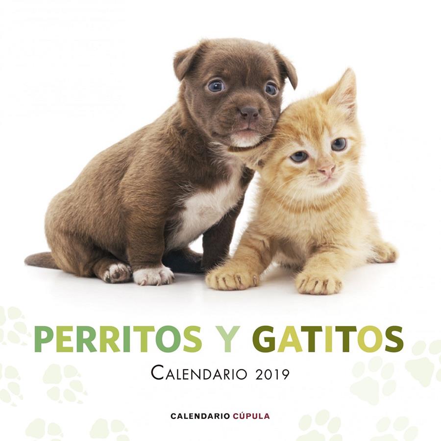 2019-CALENDARIO PERRITOS Y GATITOS  | 9788448024666 | AA. VV.